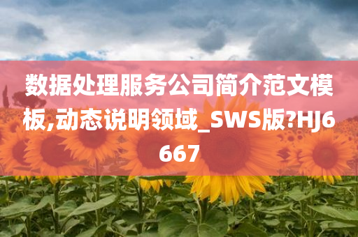 数据处理服务公司简介范文模板,动态说明领域_SWS版?HJ6667