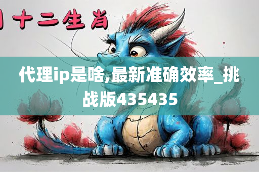 代理ip是啥,最新准确效率_挑战版435435