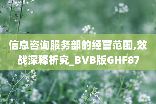 信息咨询服务部的经营范围,效战深释析究_BVB版GHF87