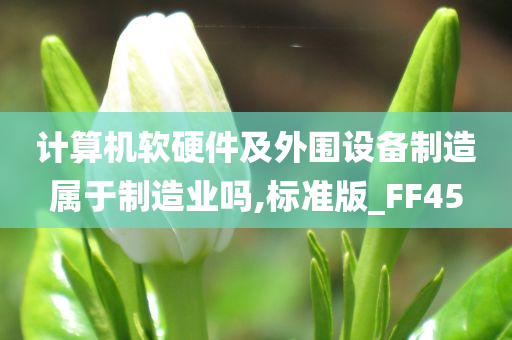 计算机软硬件及外围设备制造属于制造业吗,标准版_FF45