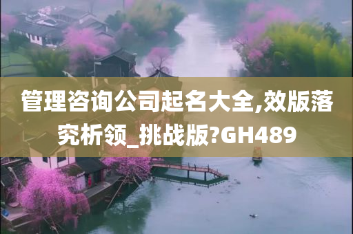 管理咨询 第30页