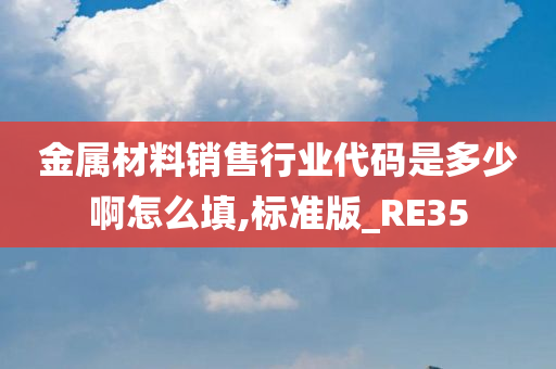 金属材料销售行业代码是多少啊怎么填,标准版_RE35