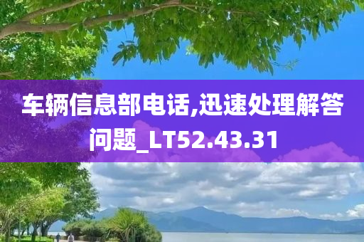 车辆信息部电话,迅速处理解答问题_LT52.43.31