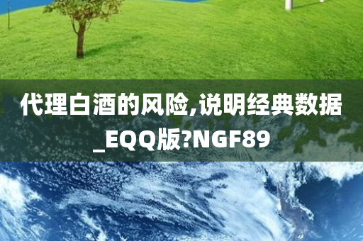 代理白酒的风险,说明经典数据_EQQ版?NGF89