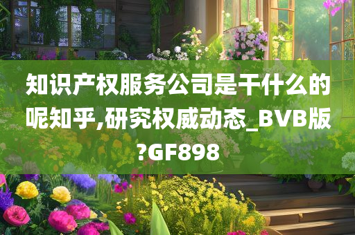 知识产权服务公司是干什么的呢知乎,研究权威动态_BVB版?GF898