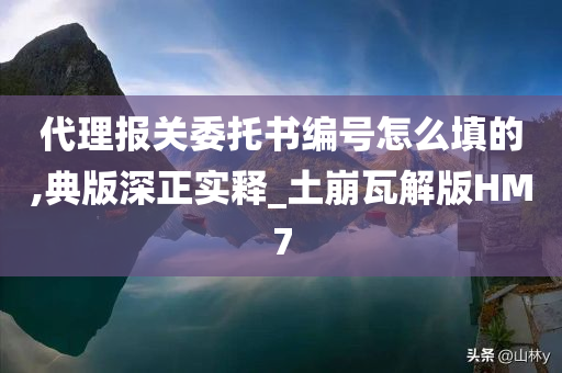 代理报关委托书编号怎么填的,典版深正实释_土崩瓦解版HM7