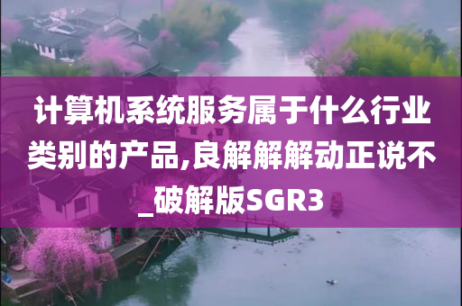 计算机系统服务属于什么行业类别的产品,良解解解动正说不_破解版SGR3