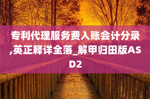 专利代理服务费入账会计分录,英正释详全落_解甲归田版ASD2