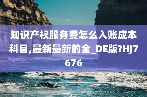 知识产权服务费怎么入账成本科目,最新最新的全_DE版?HJ7676