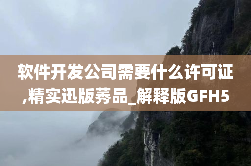 软件开发公司需要什么许可证,精实迅版莠品_解释版GFH5