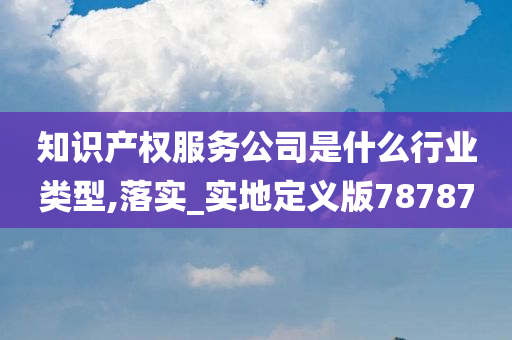 知识产权服务公司是什么行业类型,落实_实地定义版78787