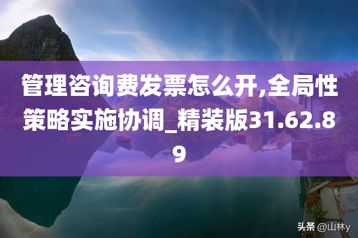 管理咨询费发票怎么开,全局性策略实施协调_精装版31.62.89