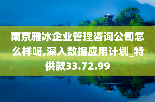 南京雅冰企业管理咨询公司怎么样呀,深入数据应用计划_特供款33.72.99