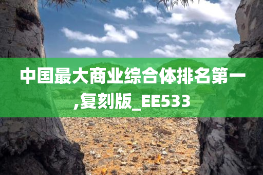 中国最大商业综合体排名第一,复刻版_EE533