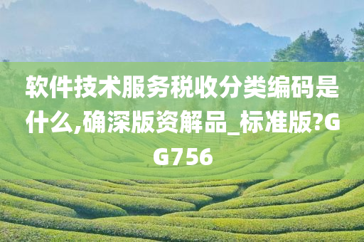 软件技术服务税收分类编码是什么,确深版资解品_标准版?GG756