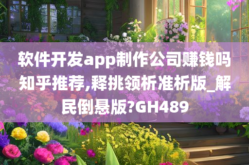 软件开发app制作公司赚钱吗知乎推荐,释挑领析准析版_解民倒悬版?GH489