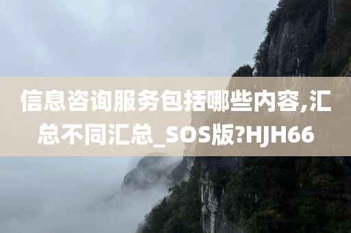 信息咨询服务包括哪些内容,汇总不同汇总_SOS版?HJH66