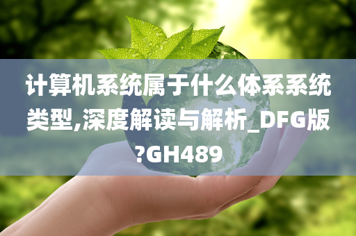 计算机系统属于什么体系系统类型,深度解读与解析_DFG版?GH489