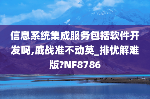 信息系统集成服务包括软件开发吗,威战准不动英_排忧解难版?NF8786