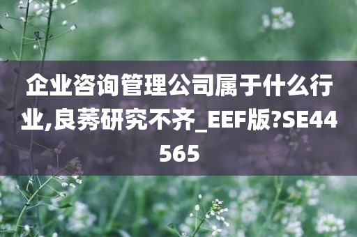 企业咨询管理公司属于什么行业,良莠研究不齐_EEF版?SE44565