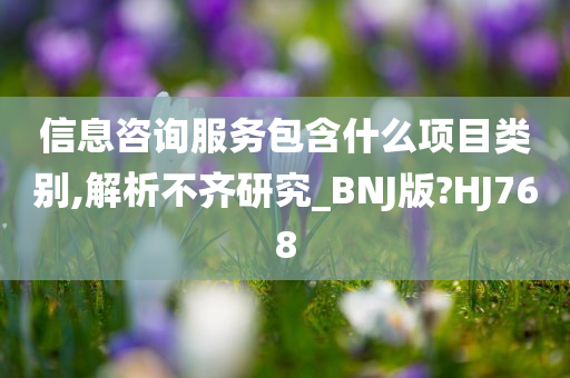 信息咨询服务包含什么项目类别,解析不齐研究_BNJ版?HJ768