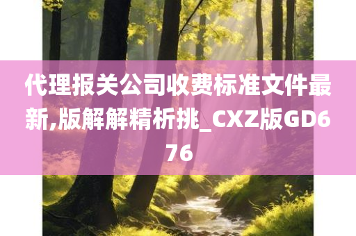 代理报关公司收费标准文件最新,版解解精析挑_CXZ版GD676