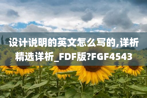 设计说明的英文怎么写的,详析精选详析_FDF版?FGF4543