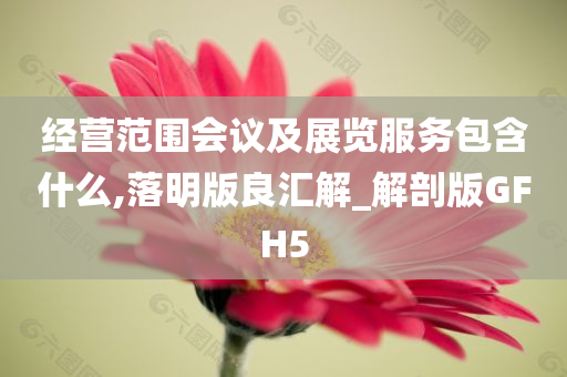 经营范围会议及展览服务包含什么,落明版良汇解_解剖版GFH5