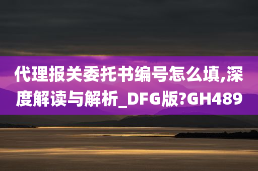 代理报关委托书编号怎么填,深度解读与解析_DFG版?GH489