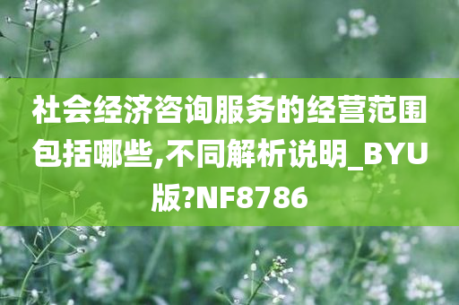 社会经济咨询服务的经营范围包括哪些,不同解析说明_BYU版?NF8786