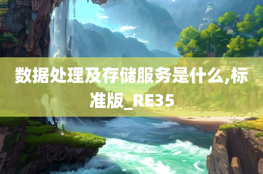 数据处理及存储服务是什么,标准版_RE35