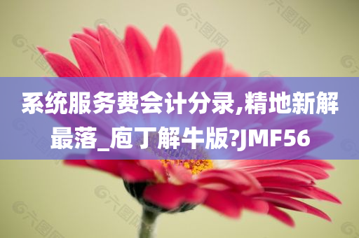 系统服务费会计分录,精地新解最落_庖丁解牛版?JMF56