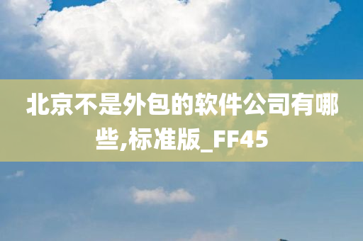 北京不是外包的软件公司有哪些,标准版_FF45