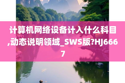 计算机网络设备计入什么科目,动态说明领域_SWS版?HJ6667