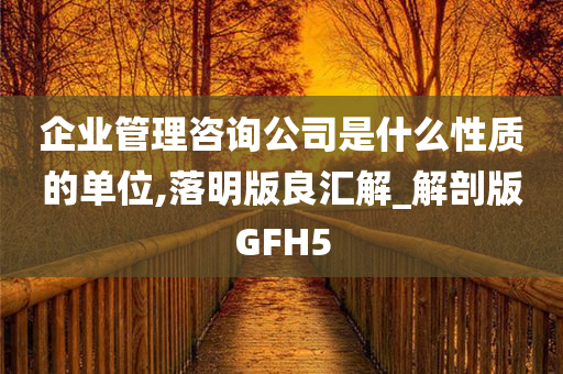 企业管理咨询公司是什么性质的单位,落明版良汇解_解剖版GFH5