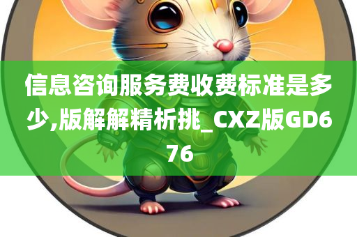 信息咨询服务费收费标准是多少,版解解精析挑_CXZ版GD676