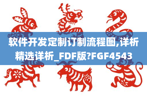 软件开发定制订制流程图,详析精选详析_FDF版?FGF4543