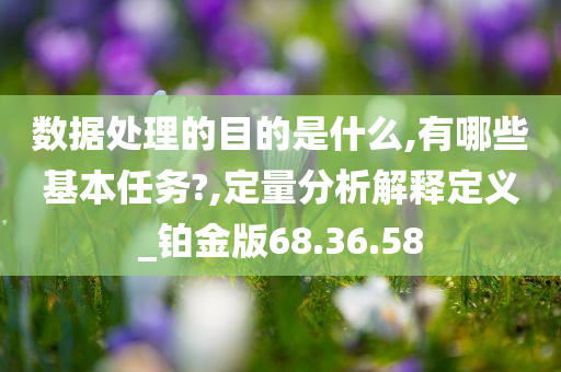 数据处理的目的是什么,有哪些基本任务?,定量分析解释定义_铂金版68.36.58