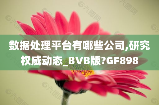 数据处理平台有哪些公司,研究权威动态_BVB版?GF898