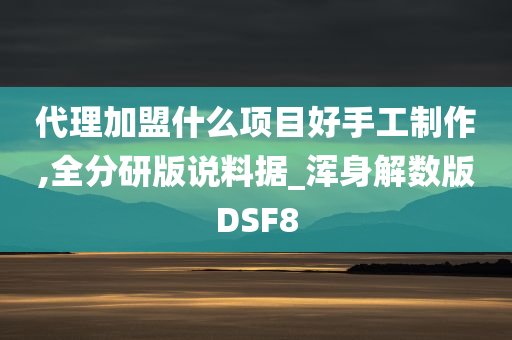 代理加盟什么项目好手工制作,全分研版说料据_浑身解数版DSF8