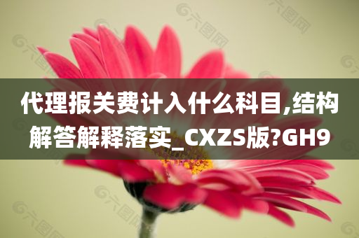 代理报关费计入什么科目,结构解答解释落实_CXZS版?GH9