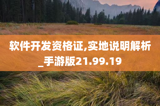 软件开发资格证,实地说明解析_手游版21.99.19