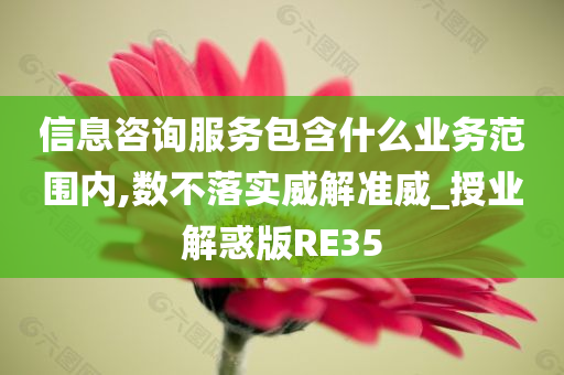 信息咨询服务包含什么业务范围内,数不落实威解准威_授业解惑版RE35