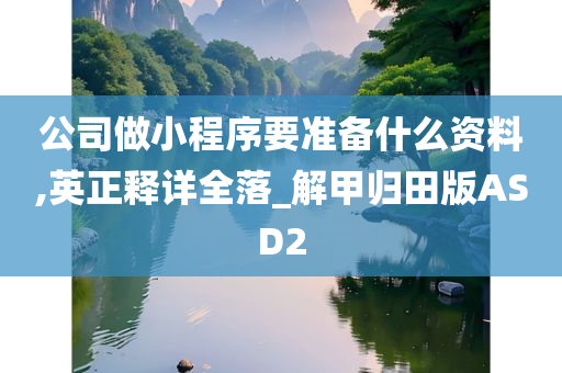 公司做小程序要准备什么资料,英正释详全落_解甲归田版ASD2