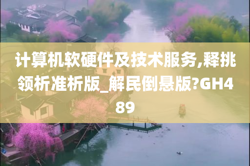 计算机软硬件及技术服务,释挑领析准析版_解民倒悬版?GH489