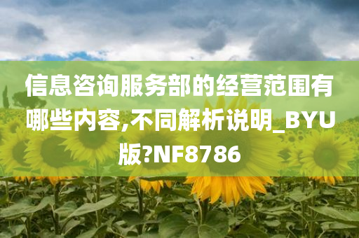 信息咨询服务部的经营范围有哪些内容,不同解析说明_BYU版?NF8786