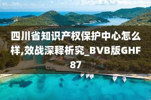 四川省知识产权保护中心怎么样,效战深释析究_BVB版GHF87