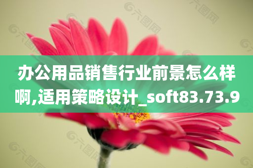 办公用品销售行业前景怎么样啊,适用策略设计_soft83.73.90