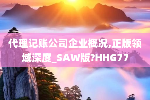 代理记账公司企业概况,正版领域深度_SAW版?HHG77