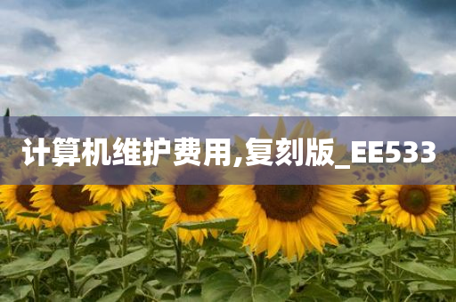 计算机维护费用,复刻版_EE533